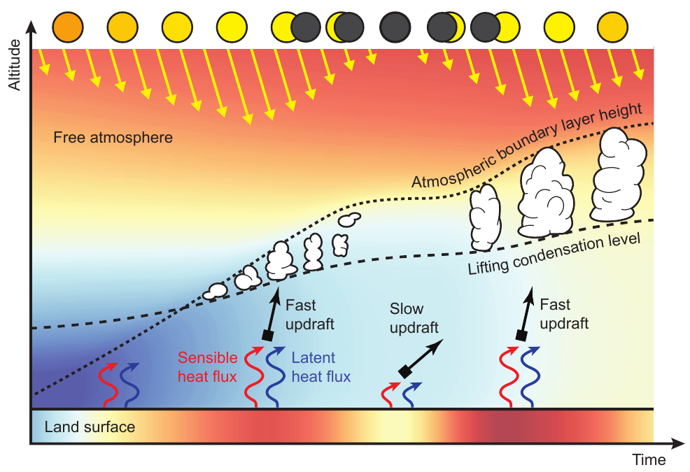 Conceptual model of surface cooling and shallow-cumulus response during a solar eclipse